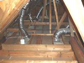 rodent infested insulation removed